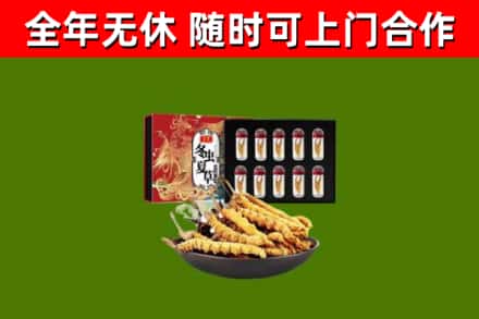 云溪回收冬虫夏草价格
